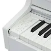 Piano Digital Casio AP470 CELVIANO 88 Teclas De Marfil Acción Martillo USB Color Blanco