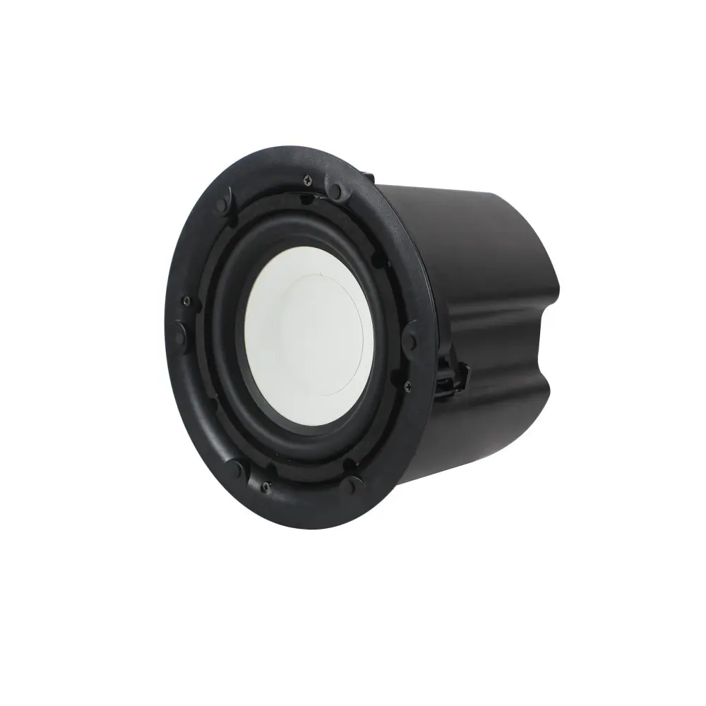Subwoofer de Techo 8" DSSPA DSP211