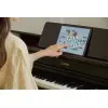 Piano Digital 88 Teclas Celviano Palisandro Casio AP-300BN