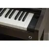 Piano Digital 88 Teclas Celviano Palisandro Casio AP-300BN