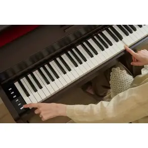 Piano Digital 88 Teclas Celviano Palisandro Casio AP-300BN