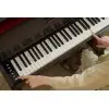 Piano Digital 88 Teclas Celviano Palisandro Casio AP-300BN