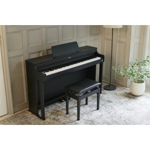 Piano Digital 88 Teclas Celviano Negro Casio AP-300BK