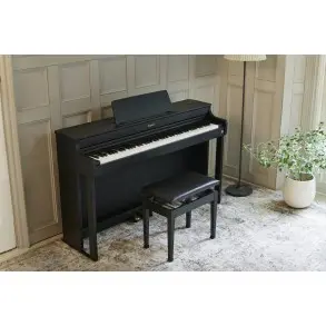 Piano Digital 88 Teclas Celviano Negro Casio AP-300BK