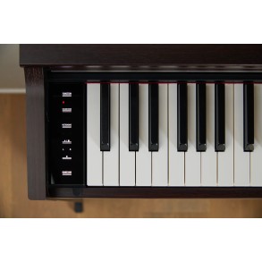 Piano Digital 88 Teclas Celviano Palisandro Casio AP-S200BN