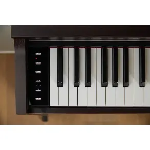 Piano Digital 88 Teclas Celviano Palisandro Casio AP-S200BN