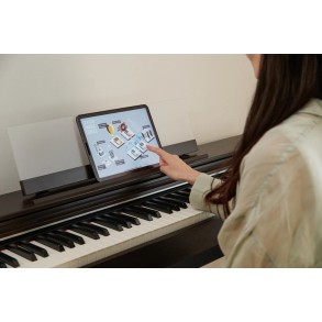 Piano Digital 88 Teclas Celviano Palisandro Casio AP-S200BN