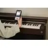 Piano Digital 88 Teclas Celviano Palisandro Casio AP-S200BN