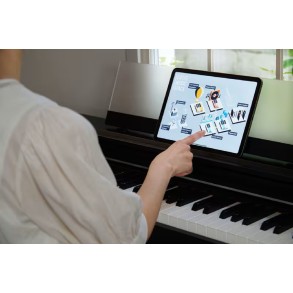 Piano Digital 88 Teclas Celviano Negro Casio AP-S200BK