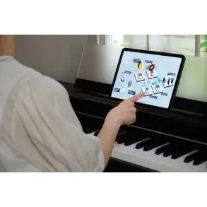 Piano Digital 88 Teclas Celviano Negro Casio AP-S200BK