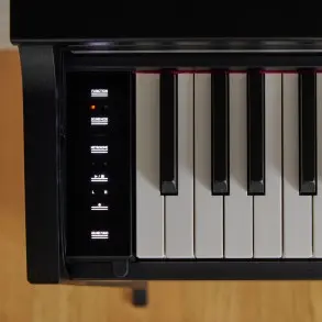 Piano Digital 88 Teclas Celviano Negro Casio AP-S200BK