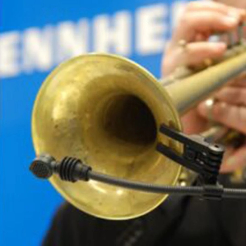Microfono Vientos Dinamico Super Cardioide Sennheiser E 608