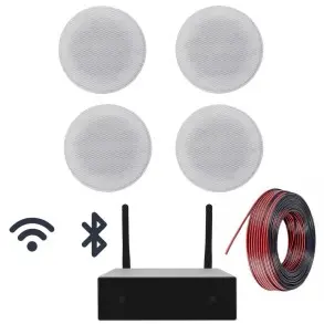 Combo Musica Parlantes Techo Amplificador Smart WiFi Bluetooth