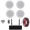 Combo Musica Parlantes Techo Amplificador Smart WiFi Bluetooth Combo Musica Parlantes Techo Amplificador Smart WiFi Bluetooth
