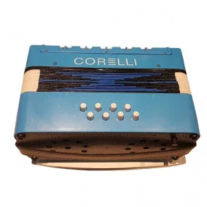 Acordeon Para Niños A Piano De 17 teclas 8 Bajos Celeste