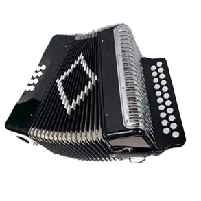 Acordeon a Botonera 31 tonos 12 Bajos Con Correa Estuche Negra