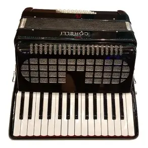Acordeon a Piano 30 teclas 48 Bajos Con Correa Funda Acolchada Deluxe Negra