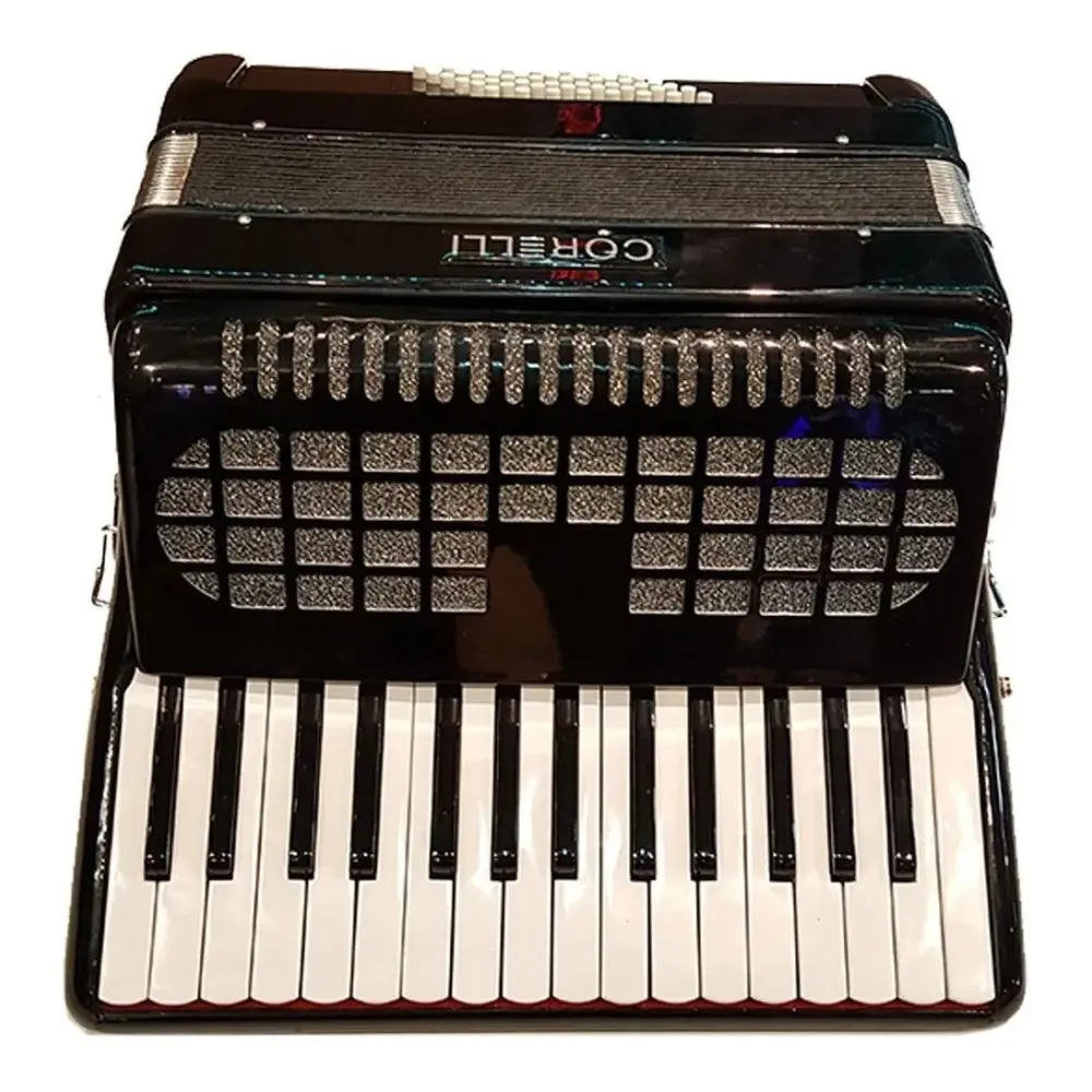 Acordeon a Piano 30 teclas 48 Bajos Con Correa Funda Acolchada Deluxe Negra