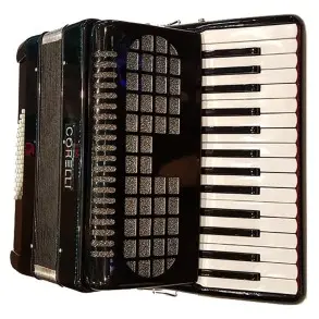 Acordeon a Piano 30 teclas 48 Bajos Con Correa Funda Acolchada Deluxe Negra