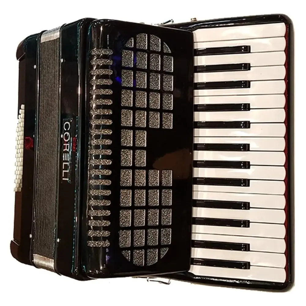 Acordeon a Piano 30 teclas 48 Bajos Con Correa Funda Acolchada Deluxe Negra
