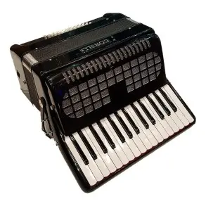Acordeon a Piano 30 teclas 48 Bajos Con Correa Funda Acolchada Deluxe Negra