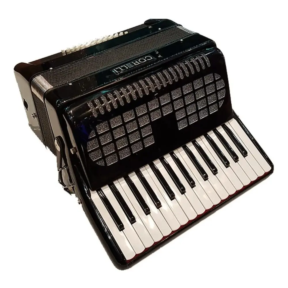Acordeon a Piano 30 teclas 48 Bajos Con Correa Funda Acolchada Deluxe Negra