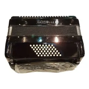 Acordeon a Piano 30 teclas 48 Bajos Con Correa Funda Acolchada Deluxe Negra