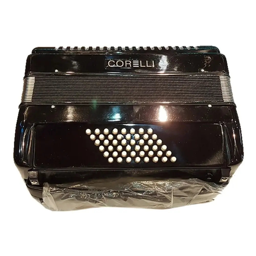 Acordeon a Piano 30 teclas 48 Bajos Con Correa Funda Acolchada Deluxe Negra