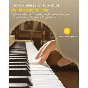 Piano Digital 88 Teclas Natural Bluetooth Donner EC7044