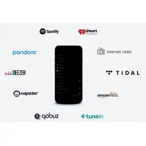 Combo Musica Parlantes Techo Amplificador Smart WiFi Bluetooth