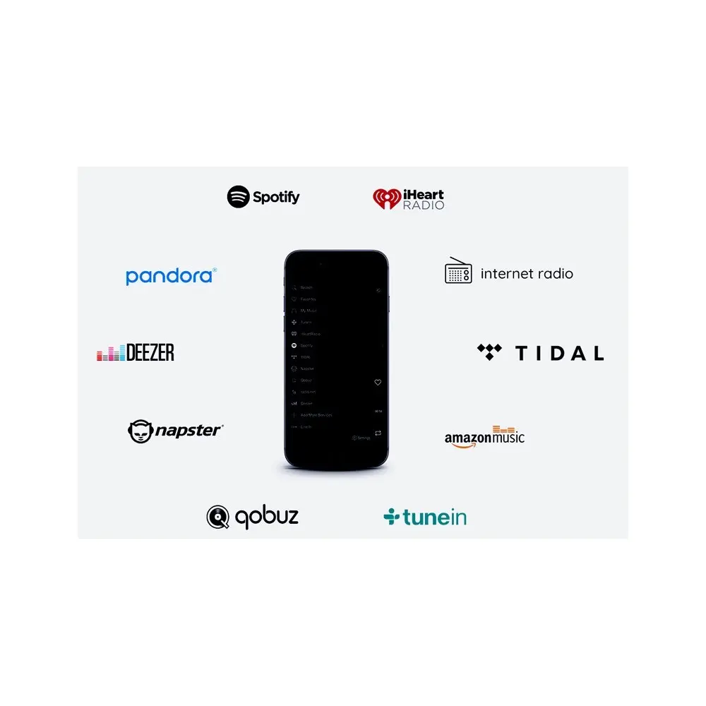 Combo Musica Parlantes Techo 4" Amplificador Smart WiFi Bluetooth