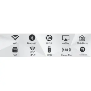 Amplificador Inteligente DSPPA AUDIO DW0250 Bluetooth Wi Fi USB