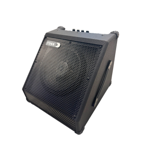 Amplificador Multiprosito Acustica Teclado Bateria Electronica Ross DR-30