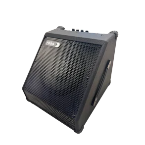 Amplificador Multiprosito Acustica Teclado Bateria Electronica Ross DR-30