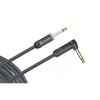 Cable Plug Plug 3,3 Metros Tipo L Daddario PW-AMSGRA-10