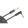 Cable Plug Plug 3,3 Metros Tipo L Daddario PW-AMSGRA-10