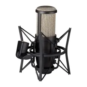 Microfono De Estudio Condenser AKG P220