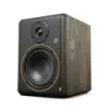 Monitores de Estudio 5" Activos de Campo Cercano Palmer STUDIMON5