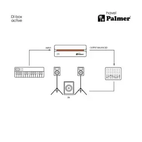 Caja Directa Activa Mono Palmer HAVEL