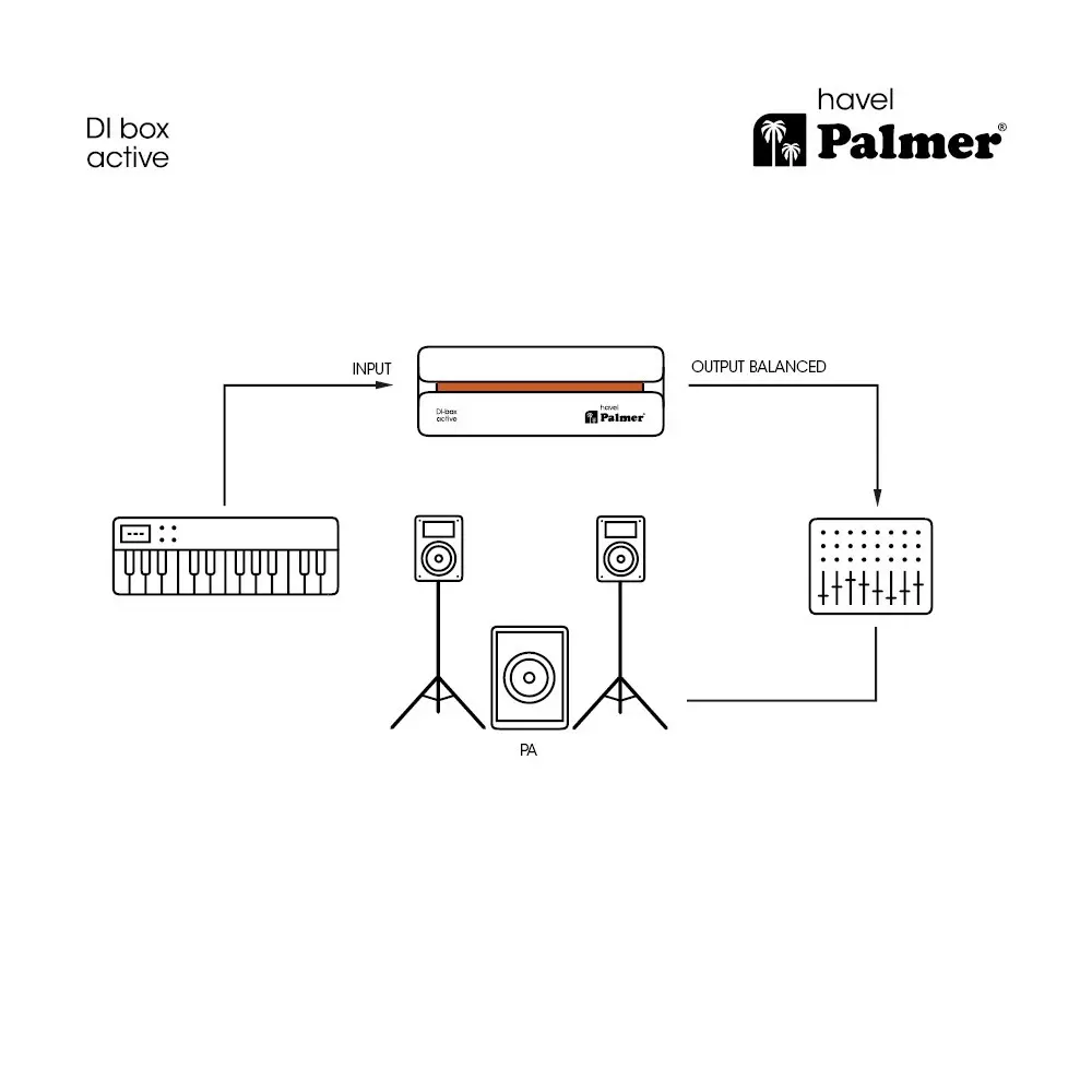 Caja Directa Activa Mono Palmer HAVEL