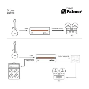 Caja Directa Activa Mono Palmer HAVEL