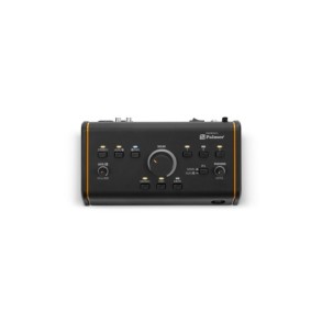Controlador de Monitor Activo Pasivo Palmer MONICONLG2