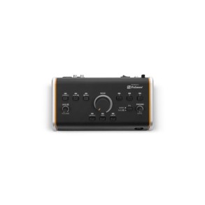 Controlador de Monitor Activo Pasivo Palmer MONICONLG2G