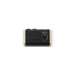 Controlador de Monitor Pasivo Palmer MONICONMG2G