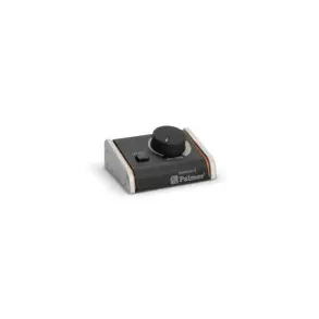 Controlador de Monitor Pasivo Palmer MONICONSG2G