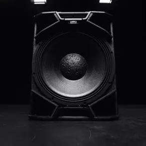 Subwoofer 21" Bass Reflex Ld Systems ICOASUB21APRO
