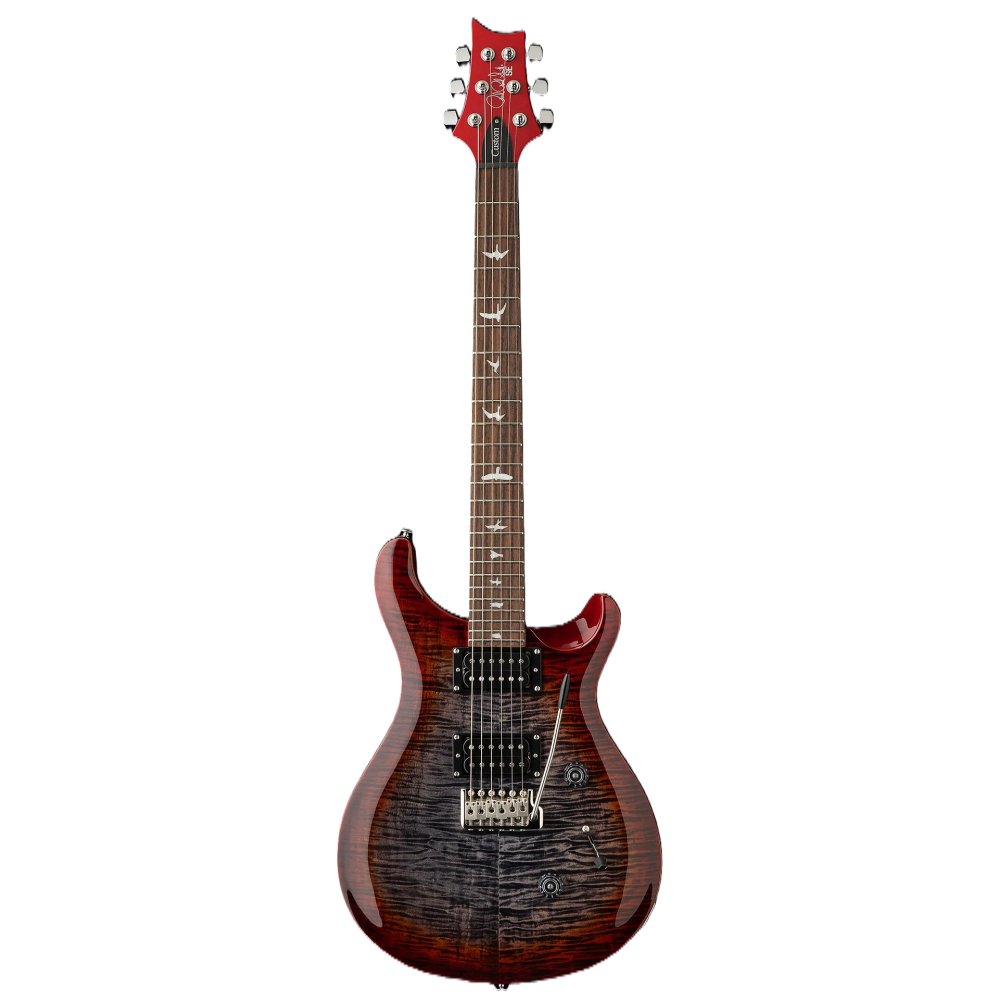 Guitarra Electrica Se Custom 24 Prs Cu4Fxrxn1 Cg