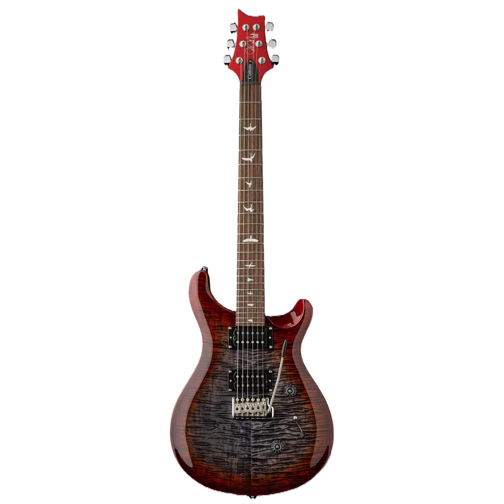 Guitarra Electrica Se Custom 24 Prs Cu4Fxrxn1 Cg