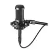 Audio Technica AT2050 Microfono Condenser Multipatron de Estudio