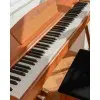 Piano Digital Color Madera 88 Teclas Donner EC3201